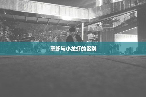 草虾与小龙虾的区别