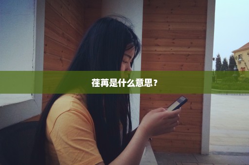 荏苒是什么意思？