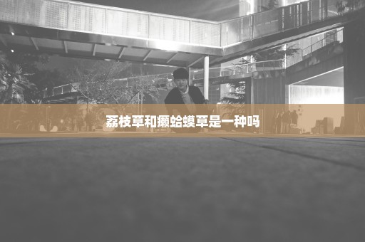 荔枝草和癞蛤蟆草是一种吗