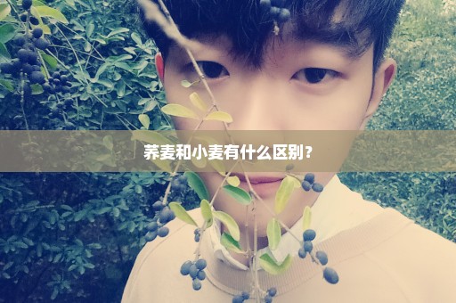 荞麦和小麦有什么区别？