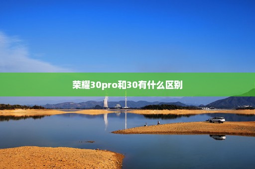 荣耀30pro和30有什么区别
