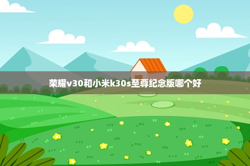 荣耀v30和小米k30s至尊纪念版哪个好