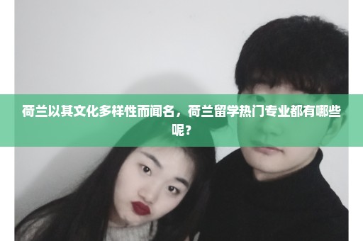 荷兰以其文化多样性而闻名，荷兰留学热门专业都有哪些呢？