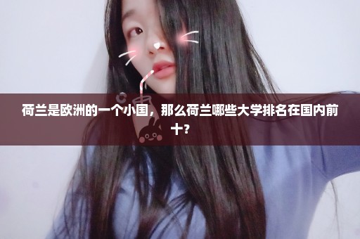 荷兰是欧洲的一个小国，那么荷兰哪些大学排名在国内前十？