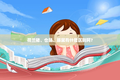 荷兰猪、仓鼠、豚鼠有什麽区别阿？