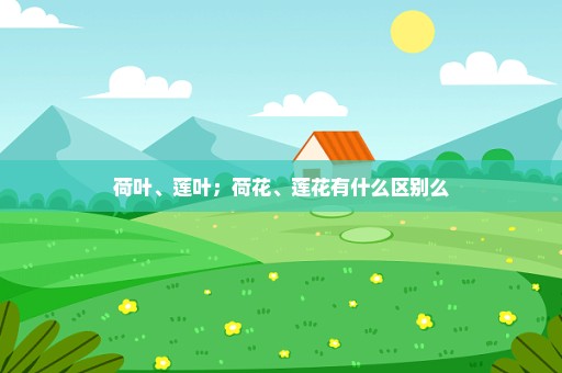 荷叶、莲叶；荷花、莲花有什么区别么