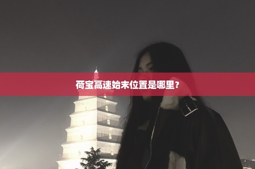 荷宝高速始末位置是哪里？