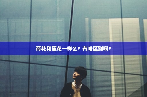 荷花和莲花一样么？有啥区别啊？