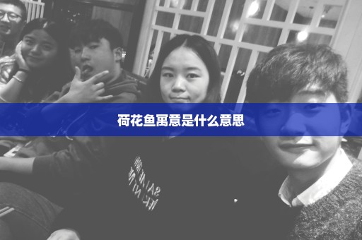荷花鱼寓意是什么意思