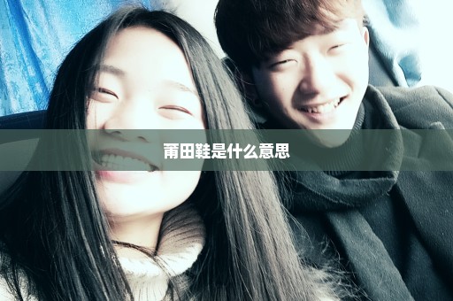 莆田鞋是什么意思
