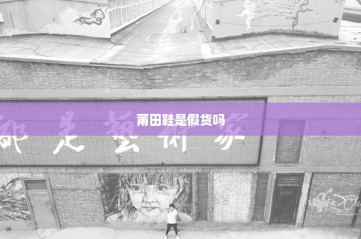 莆田鞋是假货吗