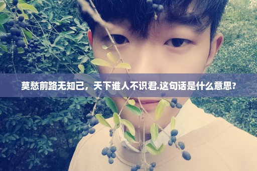莫愁前路无知己，天下谁人不识君.这句话是什么意思?