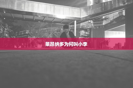莱昂纳多为何叫小李