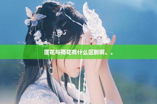 莲花与荷花有什么区别啊。。