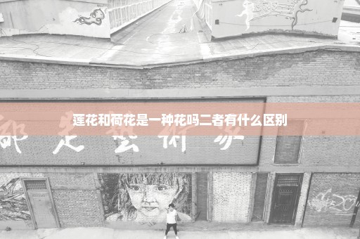莲花和荷花是一种花吗二者有什么区别
