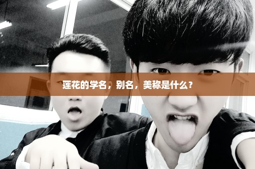 莲花的学名，别名，美称是什么？