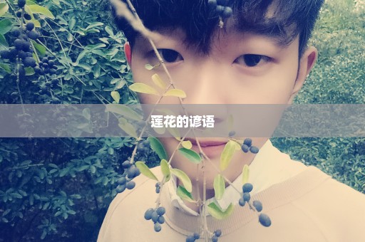 莲花的谚语