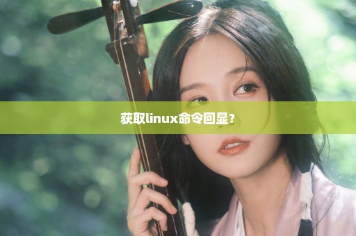 获取linux命令回显？