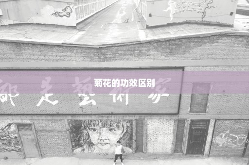 菊花的功效区别