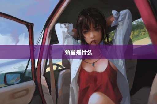 菊苣是什么
