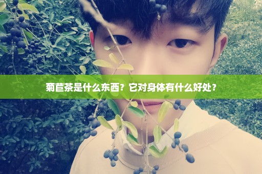 菊苣茶是什么东西？它对身体有什么好处？
