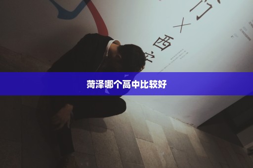 菏泽哪个高中比较好