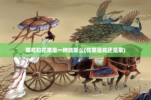 菜花和花菜是一种蔬菜么(花菜是花还是菜)