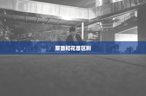 菜苗和花苗区别
