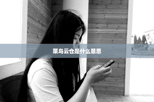菜鸟云仓是什么意思