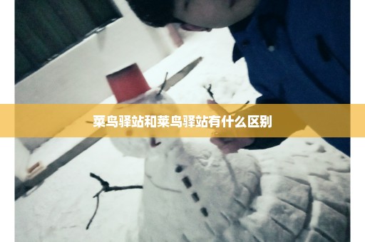 菜鸟驿站和莱鸟驿站有什么区别