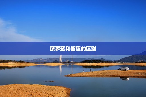 菠萝蜜和榴莲的区别