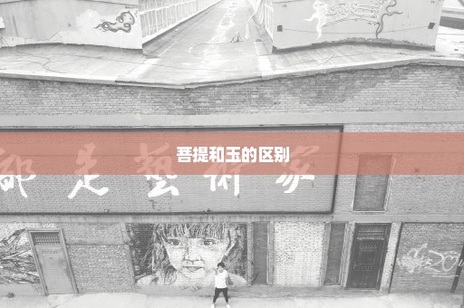 菩提和玉的区别