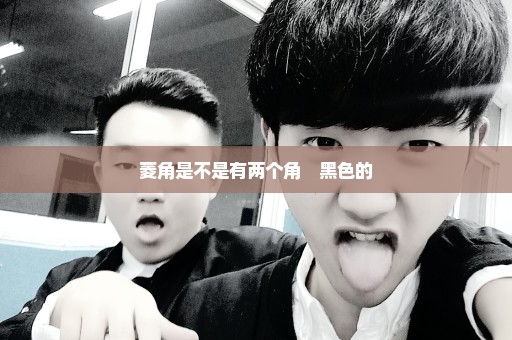 菱角是不是有两个角　黑色的　