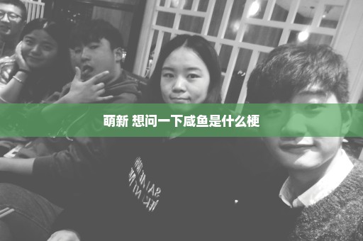 萌新 想问一下咸鱼是什么梗