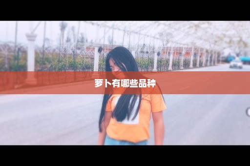 萝卜有哪些品种