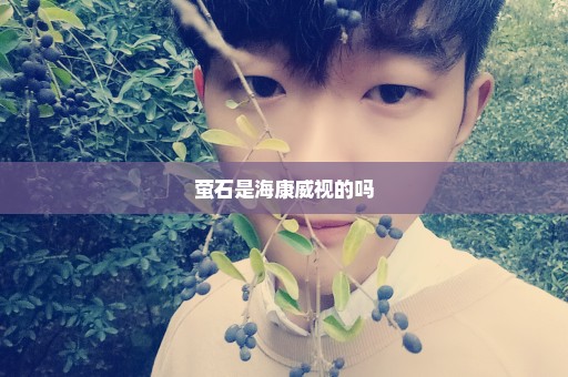 萤石是海康威视的吗