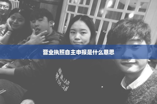 营业执照自主申报是什么意思