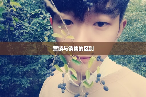 营销与销售的区别