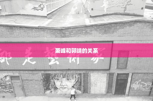 萧峰和郭靖的关系
