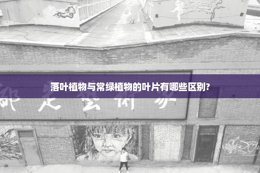 落叶植物与常绿植物的叶片有哪些区别?