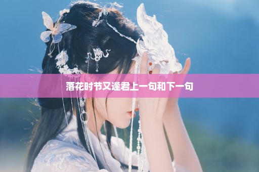 落花时节又逢君上一句和下一句