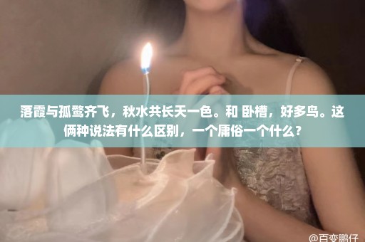 落霞与孤鹜齐飞，秋水共长天一色。和 卧槽，好多鸟。这俩种说法有什么区别，一个庸俗一个什么？