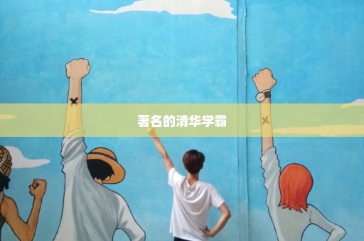 著名的清华学霸