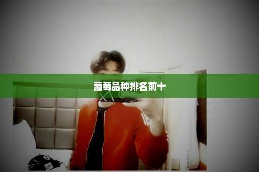 葡萄品种排名前十