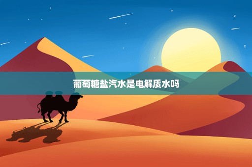 葡萄糖盐汽水是电解质水吗