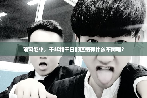 葡萄酒中，干红和干白的区别有什么不同呢？