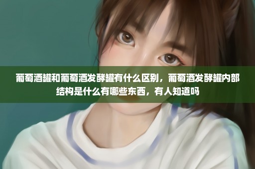 葡萄酒罐和葡萄酒发酵罐有什么区别，葡萄酒发酵罐内部结构是什么有哪些东西，有人知道吗