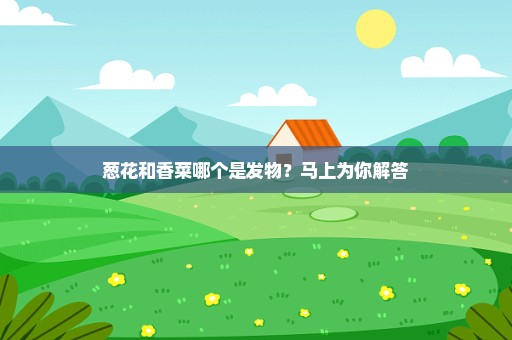 葱花和香菜哪个是发物？马上为你解答