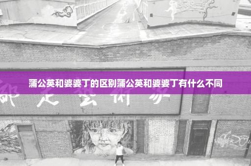 蒲公英和婆婆丁的区别蒲公英和婆婆丁有什么不同