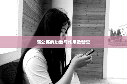 蒲公英的功效与作用及禁忌